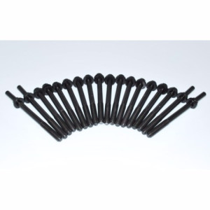 Kit bulloni testa cabstar 3000