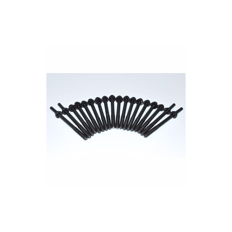 Kit bulloni testa cabstar 3000