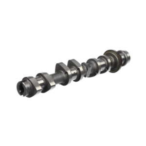 Albero a camme scar.