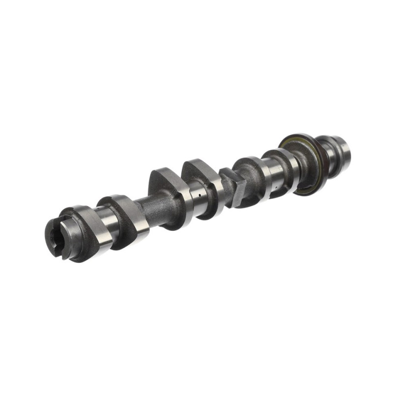 Albero a camme scar.