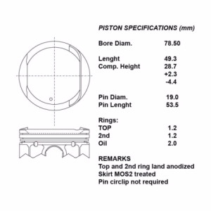 Serie pistoni motore completi 050 euro4