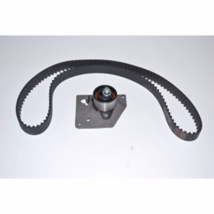 Kit distrib. cinghia+tendic. f9q-d4192t