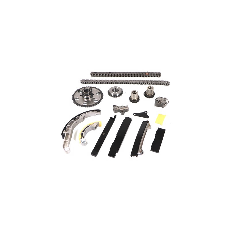 Kit distribuzione completo catena+ingr. (premium)