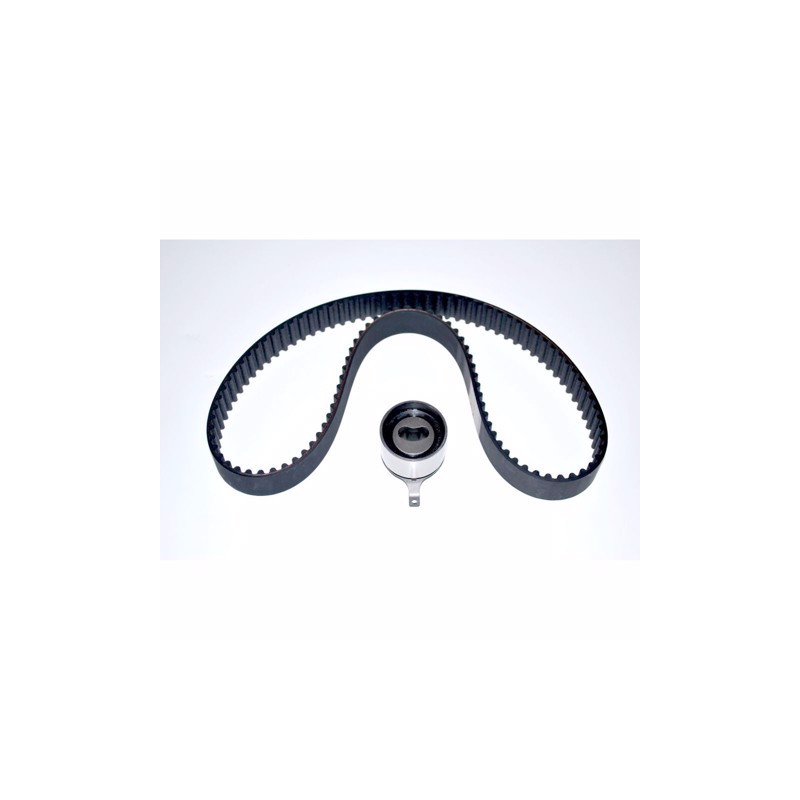 Kit distrib. cinghia+tendic. f8cv