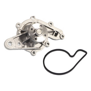 Pompa acqua (premium)