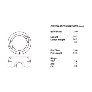 Kit pistoni compl. std