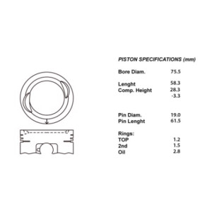 Kit pistoni compl.+050  
