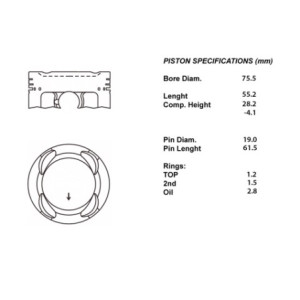 Serie pistoni motore completi 050