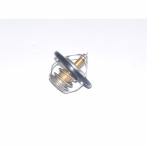 Valvola termostatica  