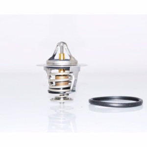 Termostato 82°l200 iii 2.5did 2006 