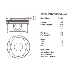 Serie pistoni motore completi 050