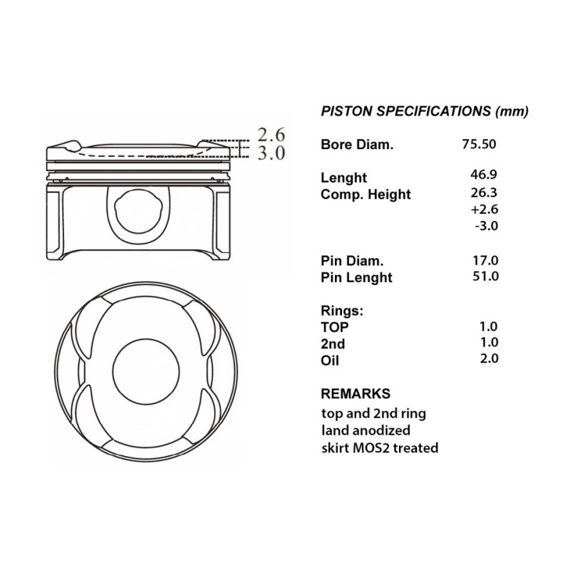 Serie pistoni motore completi 050