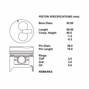 Kit pistoni nudi std  