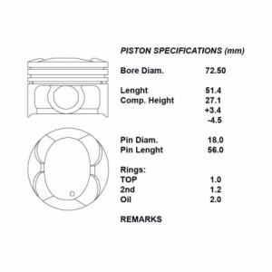 Kit pistoni motore completi 050 cam. ° 1.0 132930