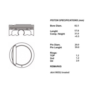 Serie pistoni motore completi 050