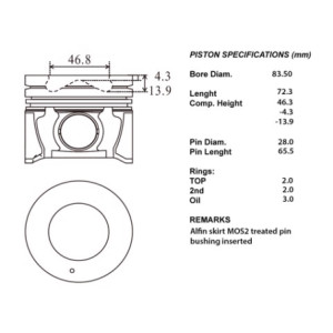 Kit pistoni compl.+050  